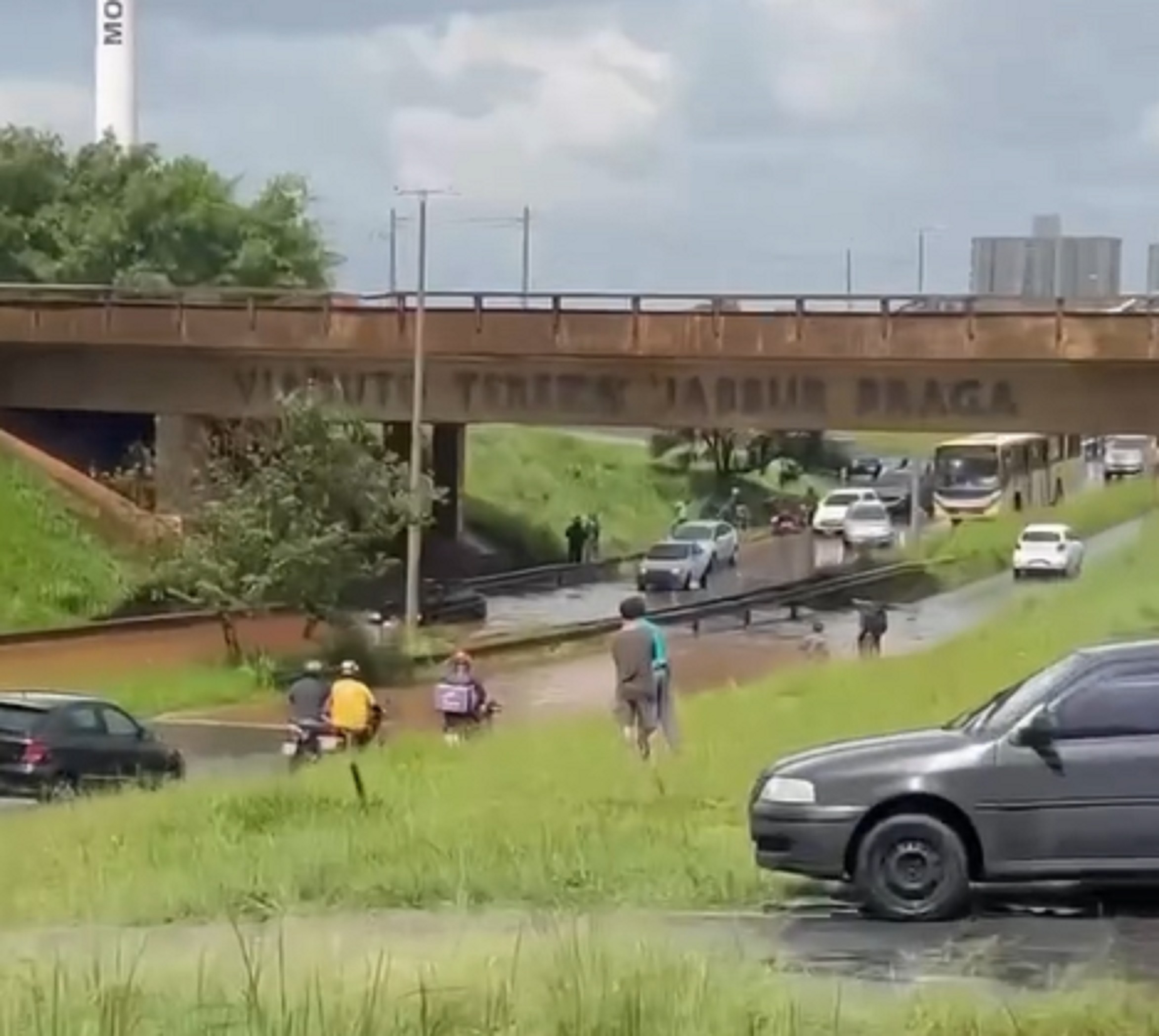 Alagamentos e quedas de árvores: primeiro sábado do ano é marcado por chuva em Uberlândia; VÍDEO