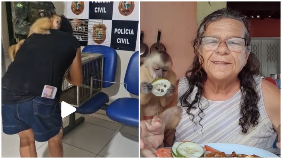 Avani Cordeiro criava macaco como animal de estimação em Icó, no Ceará — Foto: Reprodução