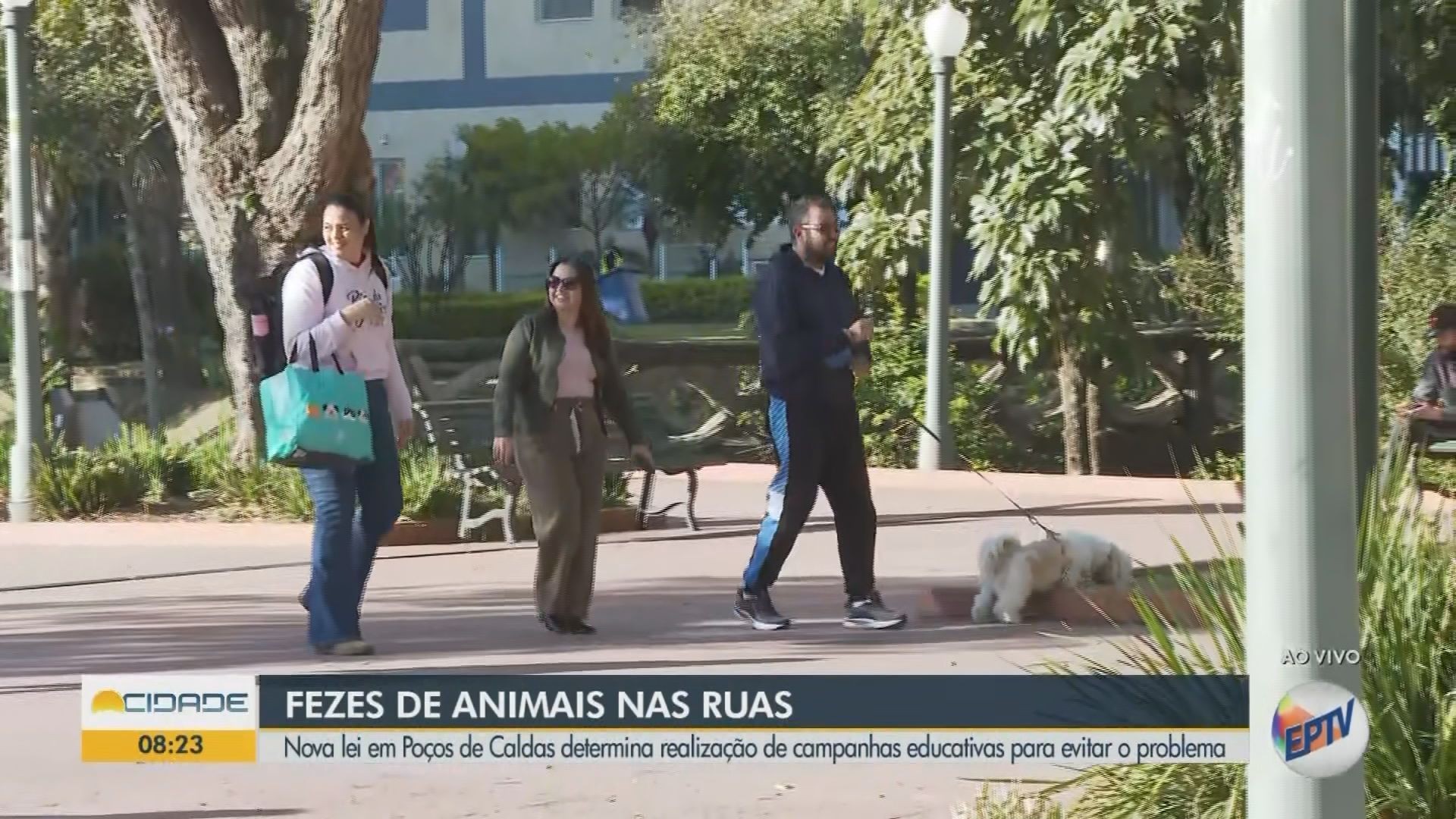 VÍDEOS: Bom Dia Cidade Sul de Minas de sexta-feira, 30 de maio de 2025