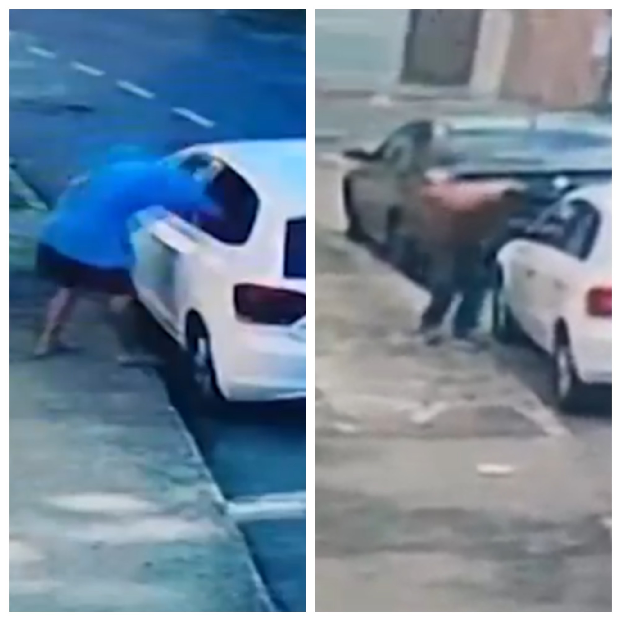 Câmeras registram arrombamentos a carros na Região Noroeste de BH; VÍDEO