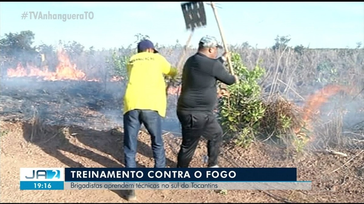 Grupos De Brigadistas Florestais Fazem Curso Para Atuar No Combate A Incêndios Tocantins G1 