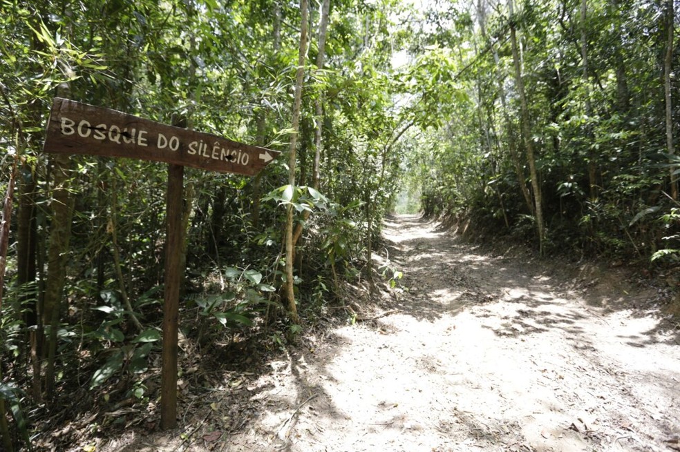 Trilha Bosque do Silêncio no Parque Natural Municipal Itaim — Foto: Jose Cordeiro/SPTuris