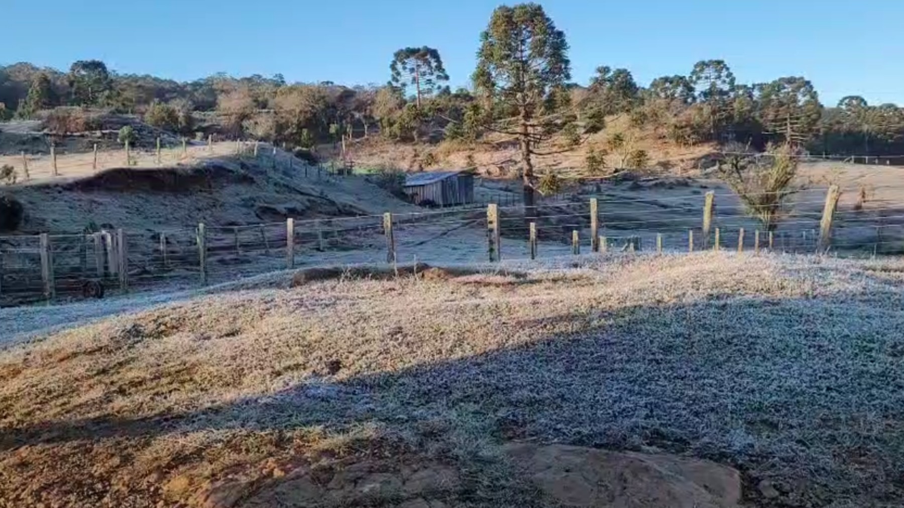 'Anticiclone' mantém frio e geadas no Paraná; entenda o fenômeno e veja previsão do tempo para 3ª semana de agosto