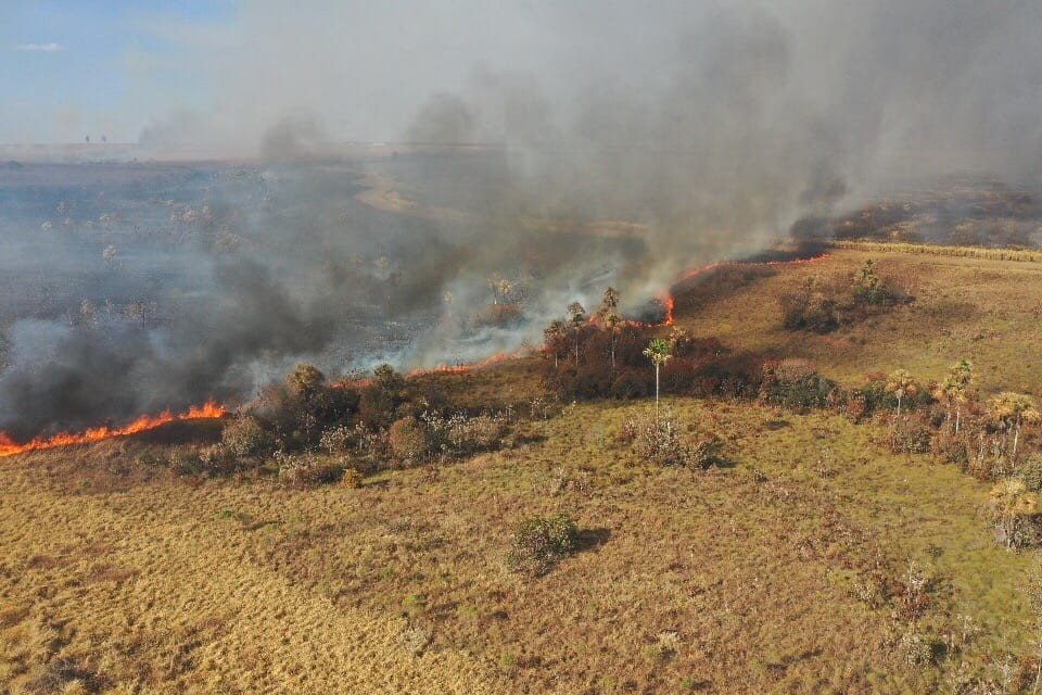 Áreas incendiadas mais que dobram e rodovias ganham sistema de alerta 24h no Triângulo Mineiro