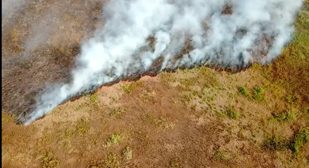 Período proibitivo de uso do fogo começa nesta quarta-feira (1º) em MT 
