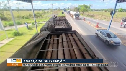 PRF apreende madeira nativa na BR-153 em Araguaína