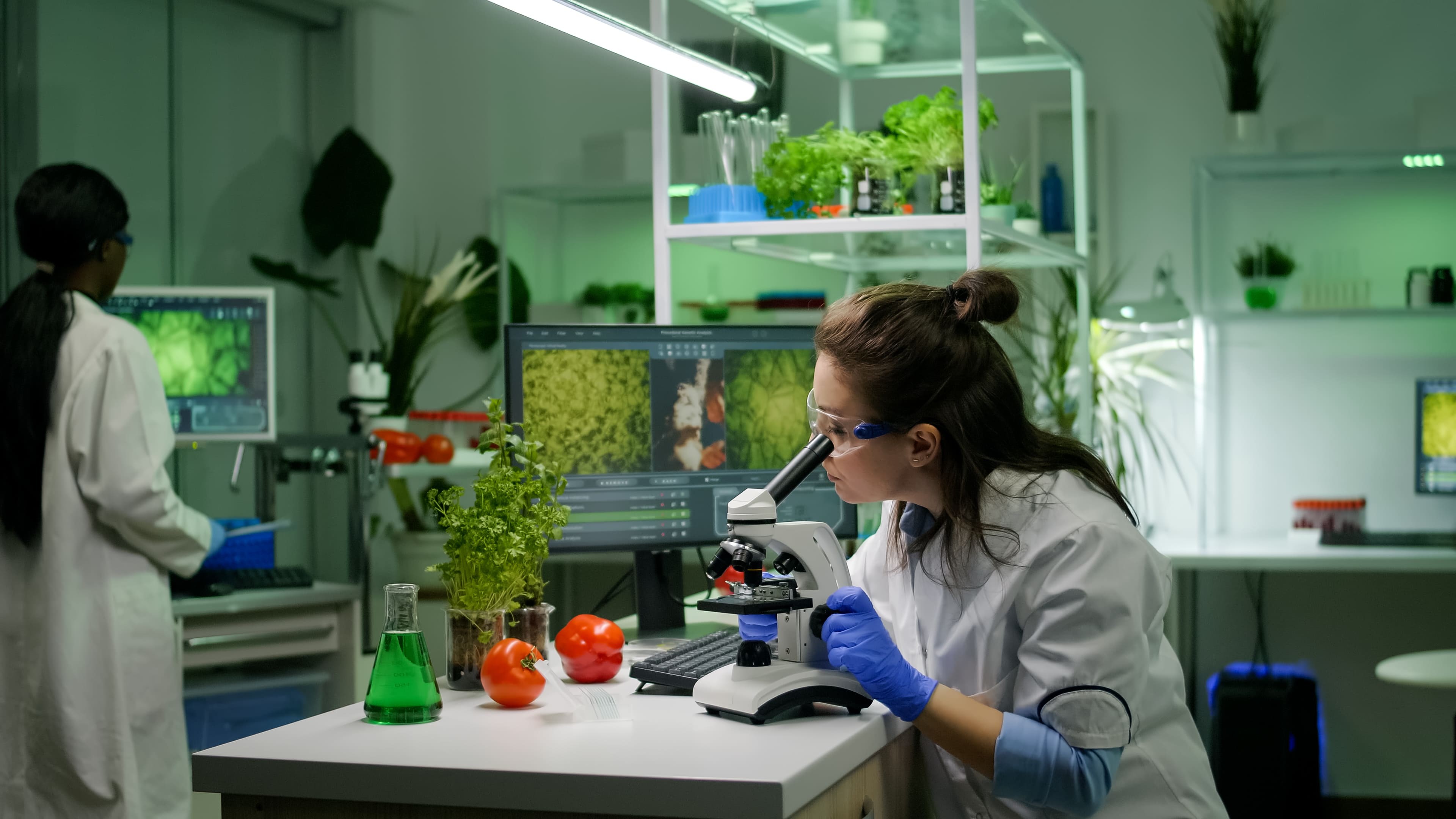 Com inovação verde, bioeconomia otimiza produtos para saúde e agro em SC