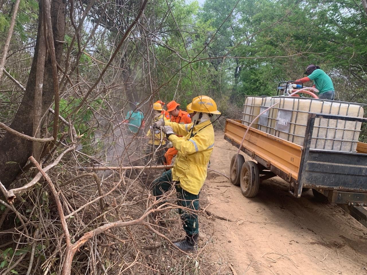 Incêndio atinge 60 hectares de vegetação em área de proteção ambiental de Jaíba