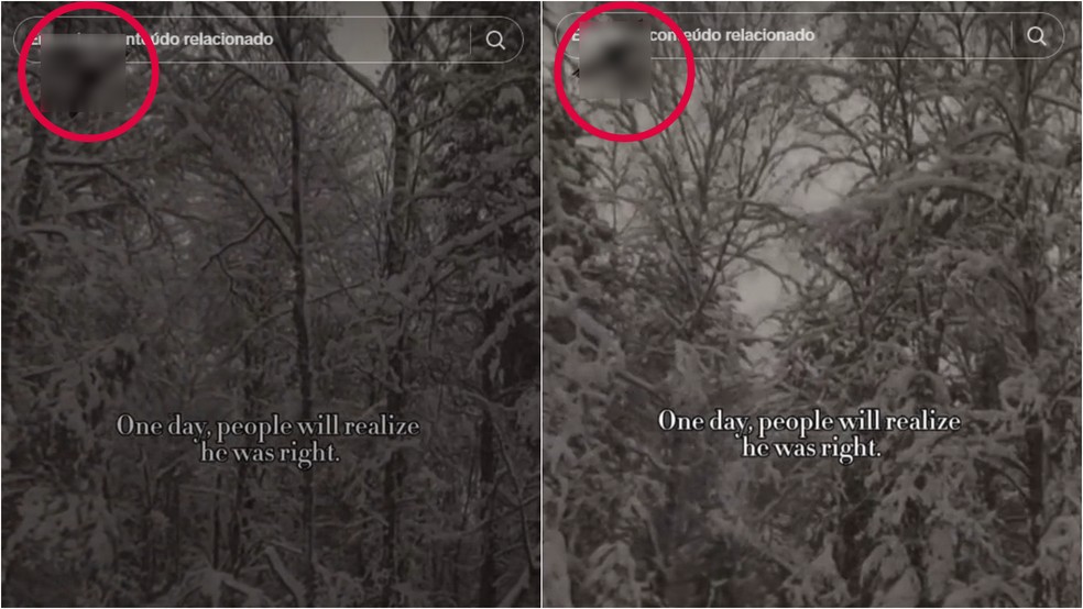 Vídeo postado no TikTok traz a águia imperial nazista com a cruz de ferro. — Foto: Reprodução/TikTok