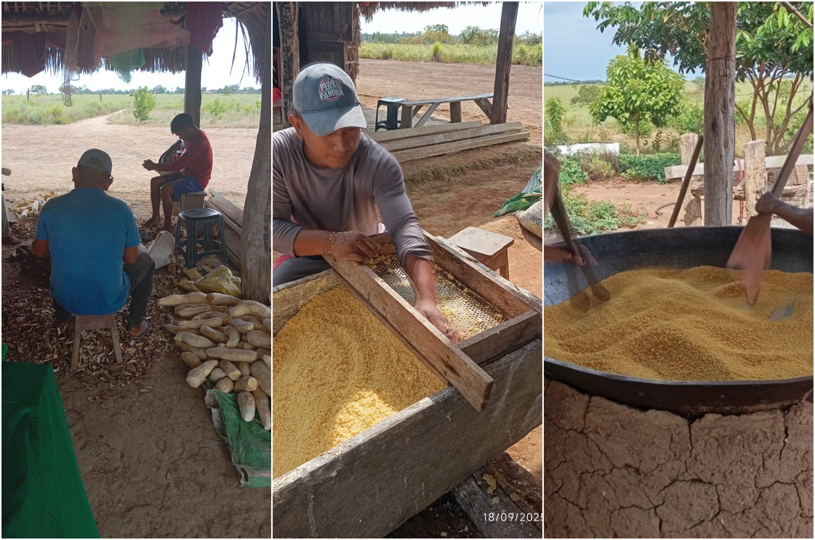 Comunidade indígena realiza Festejo que terá disputa de melhor farinha e damurida em Alto Alegre