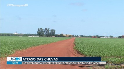 Registro pluviométrico irregular pode impactar no milho safrinha