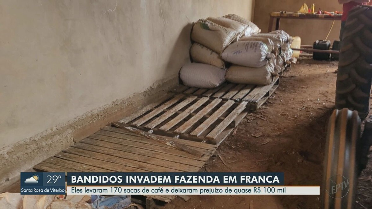 Un producteur rural envisage d’abandonner son activité après le vol de sacs de café à Franca, SP : « Jeter l’éponge » |  Ribeirao Preto et Franca