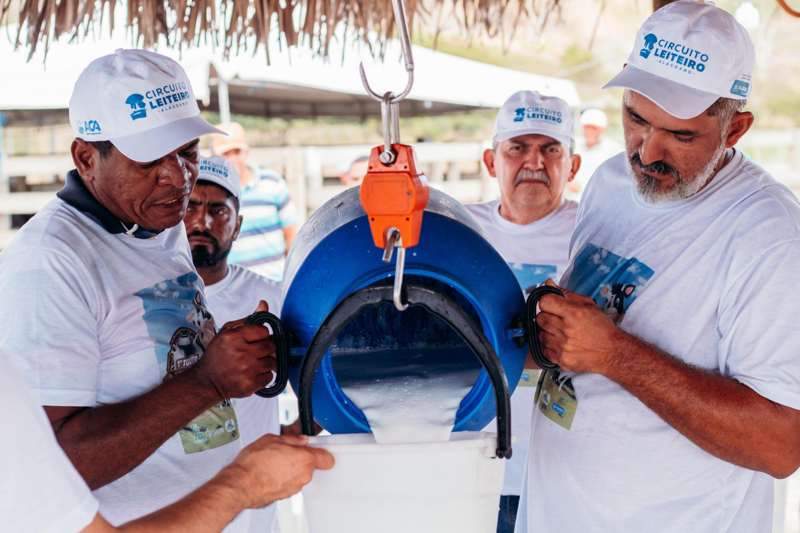 AL cresce: pecuária e aquicultura avançam e somam R$ 2 bilhões em produção 
