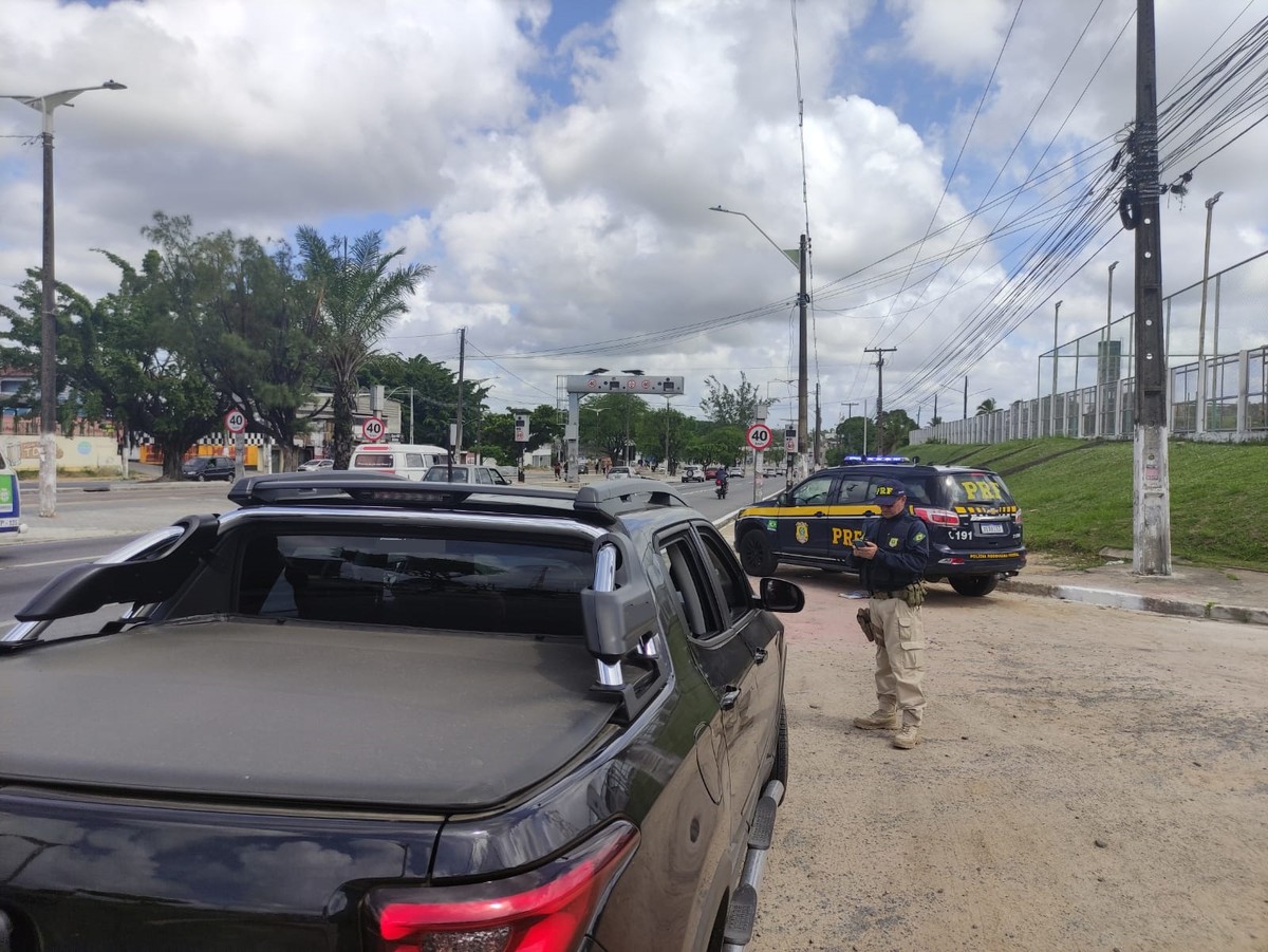 PRF recolhe 23 cavalos abandonados em rodovias do Recife e Zona da Mata de  Pernambuco - Folha PE