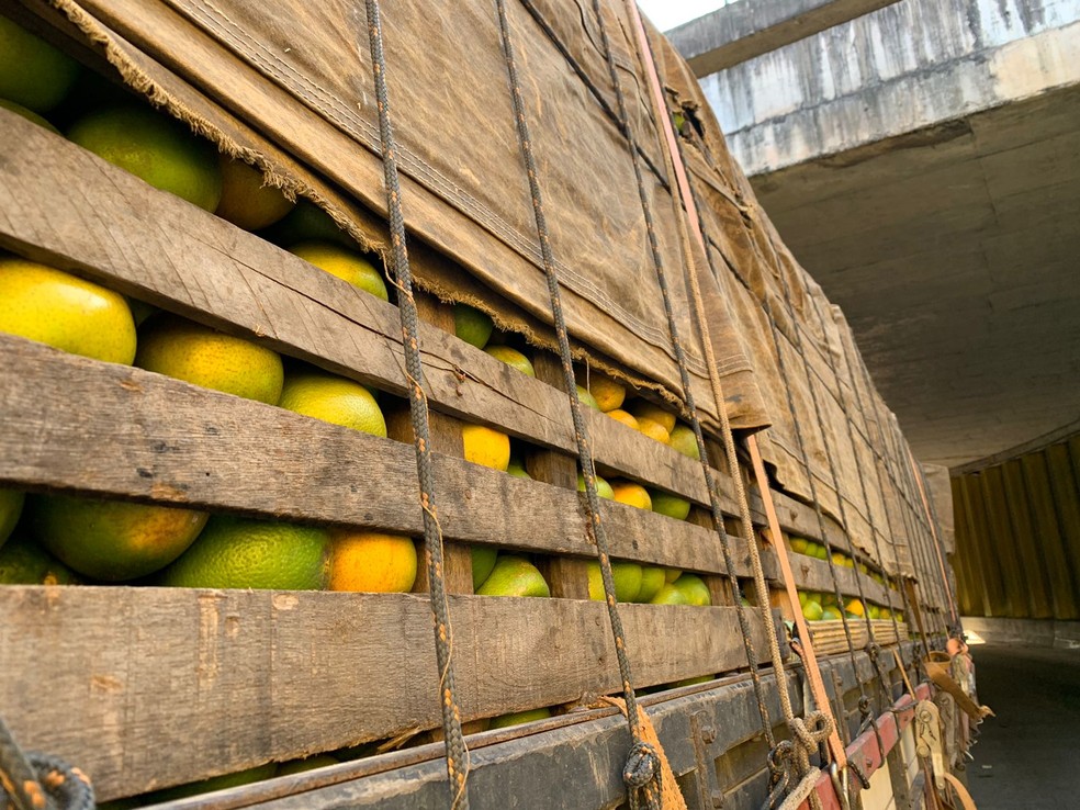 Caminhão carregado de laranjas quebrado no túnel da avenida Jerônimo Câmara, em Natal. — Foto: Gustavo Brendo/Inter TV Cabugi