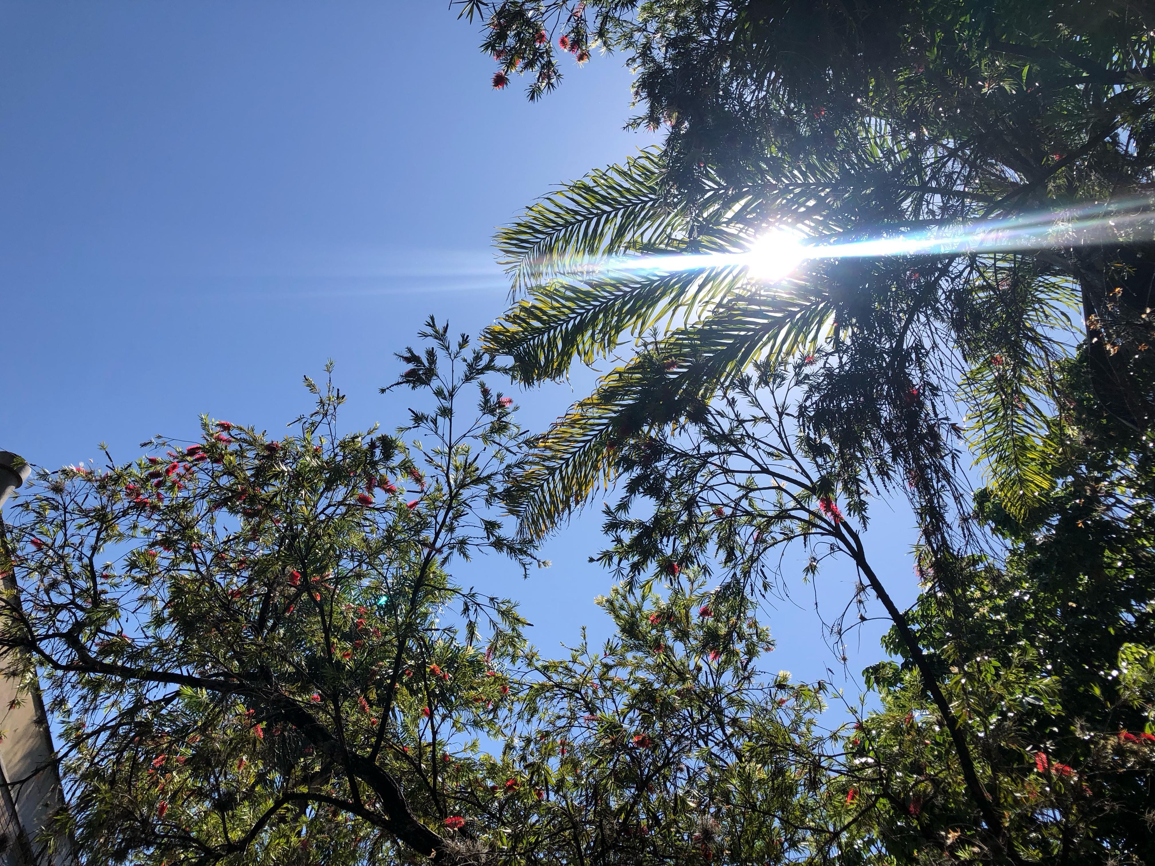 Feriado e chegada do inverno: veja como fica a previsão do tempo para a região de Campinas