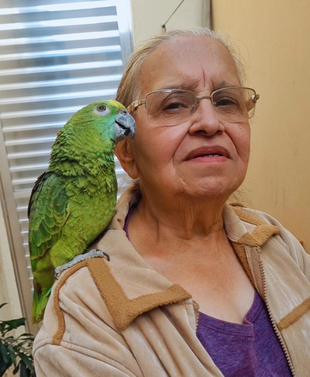 ‘O coração tenta, mas não acompanha’: aos 75 anos, mulher enfrentou 42 internações por arritmia e insuficiência cardíaca