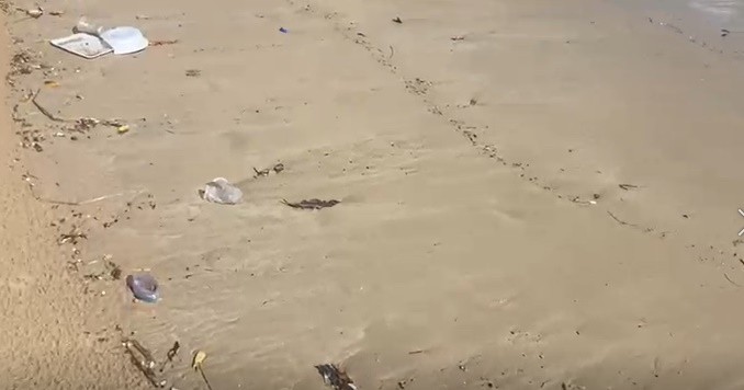 Grande quantidade de lixo é registrada na praia de Manaíra, em João Pessoa 