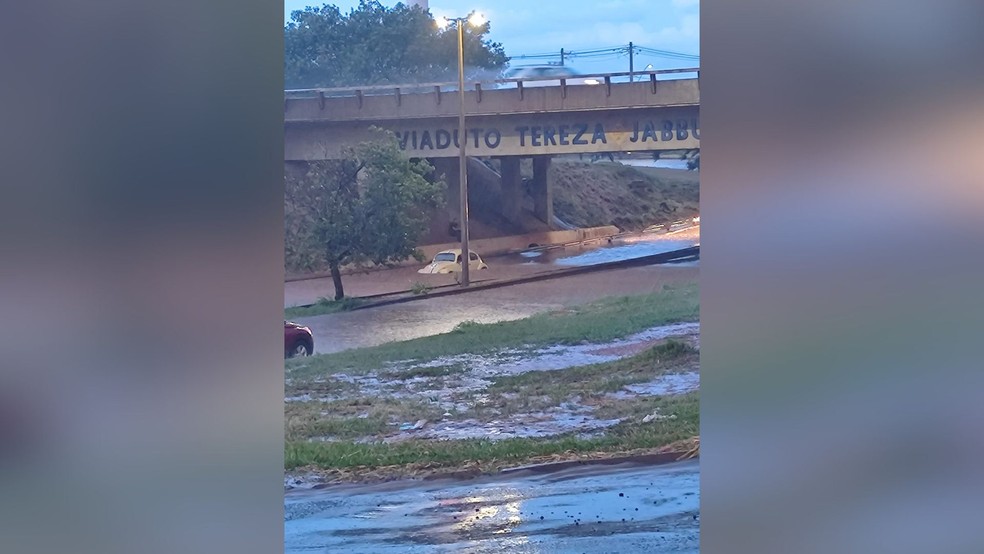 Fusca ilhado embaixo do viaduto Tereza Jabbur, no Bairro Novo Mundo — Foto: Redes sociais/Reprodução