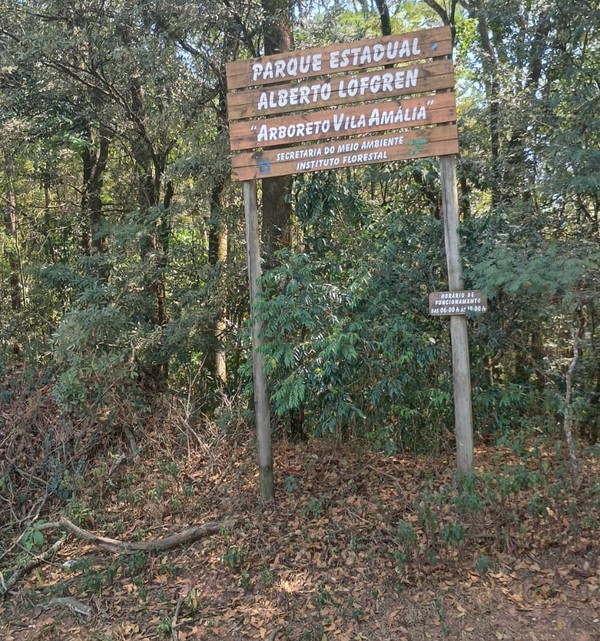 Local onde Sônia Marina foi encontrada ferida no Arboreto Vila Amália, Zona Norte de SP — Foto: Arquivo Pessoal