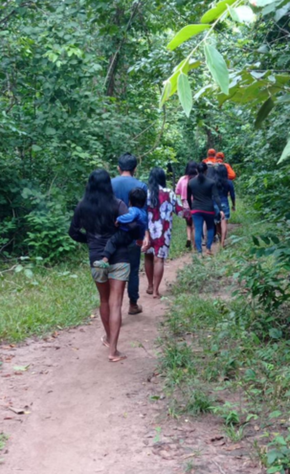 Moradores da Aldeia Macaúba ajudam nas buscas. — Foto: Divulgação/ Bombeiros