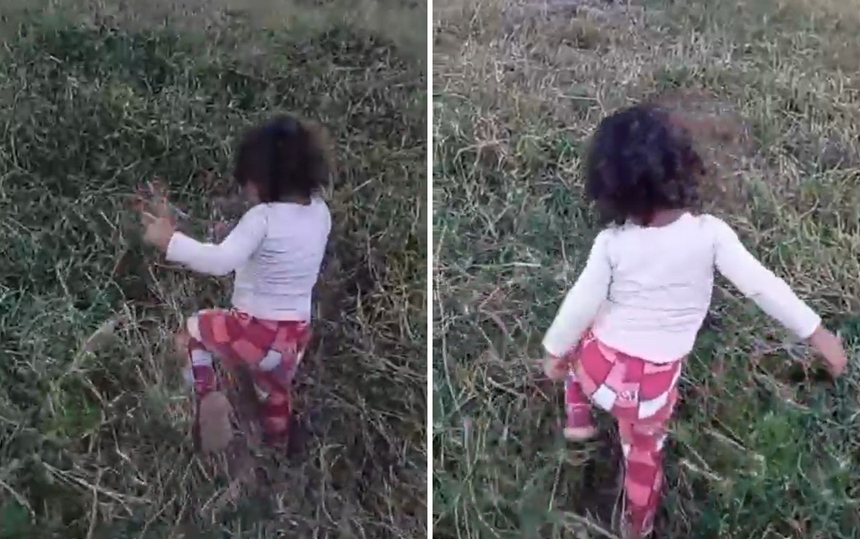 Vídeo mostra que menina encontrada morta no dia do aniversário tinha o costume de andar pela fazenda, diz delegado