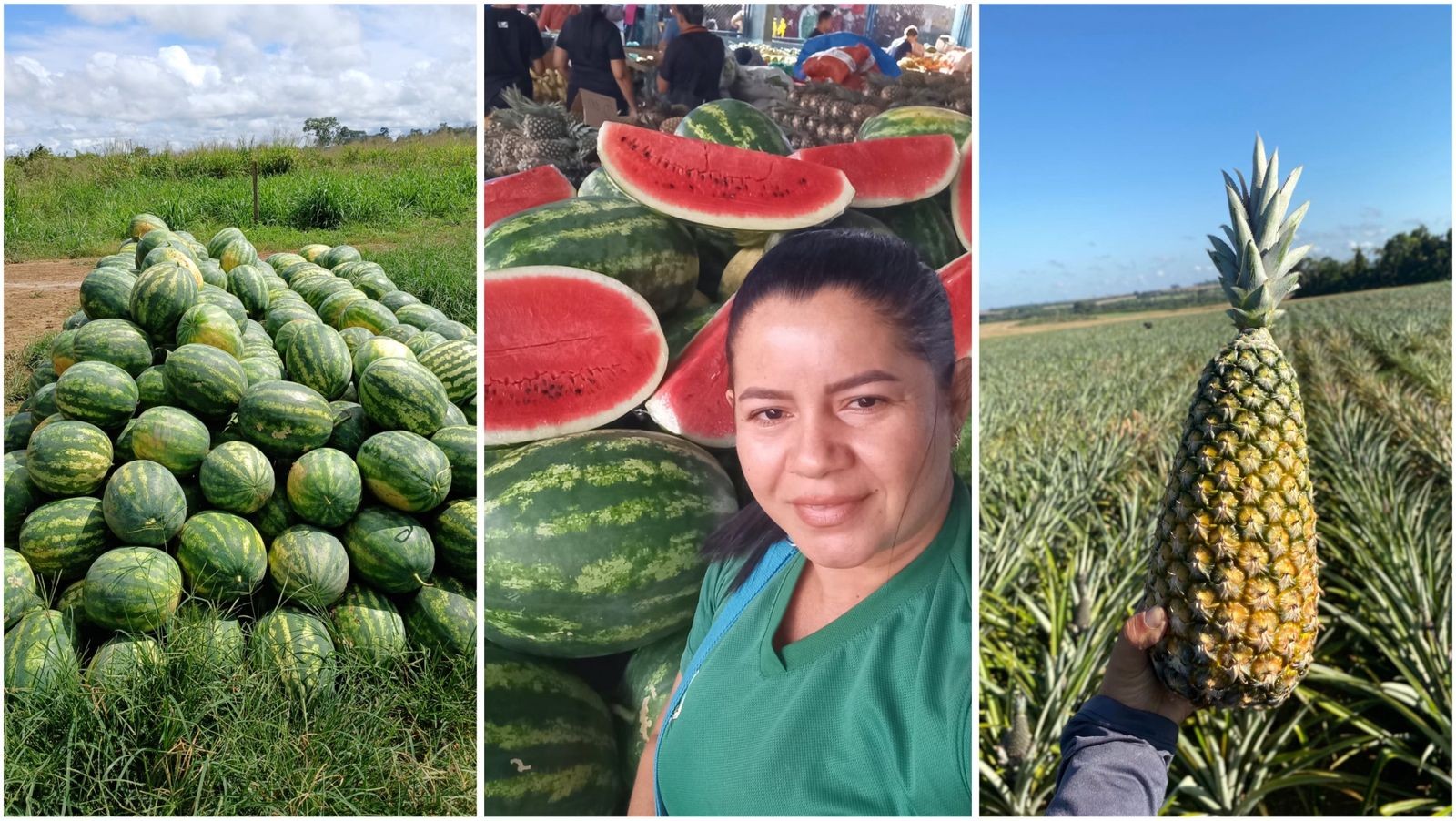 Do roçado ao Mercadão 2000: história de agricultora simboliza força dos feirantes em Santarém
