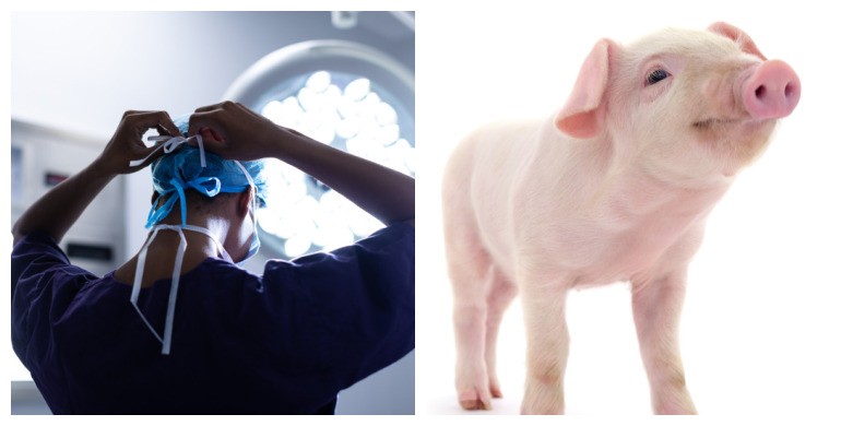 Você Não Tá Convidada pro Meu Bat Mitzvá!