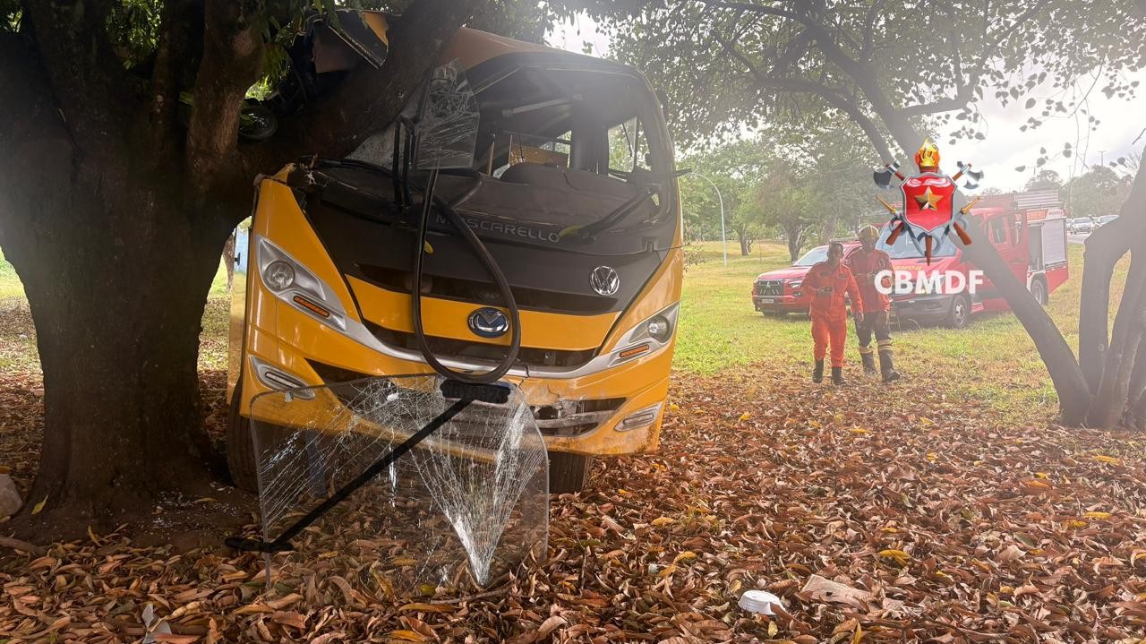 Autocarro escolar embate em árvore e fere duas crianças no Distrito Federal