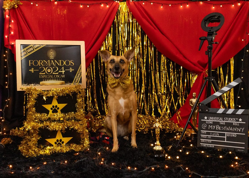 Cães participaram de ensaio de formatura — Foto: Amany Mourtada