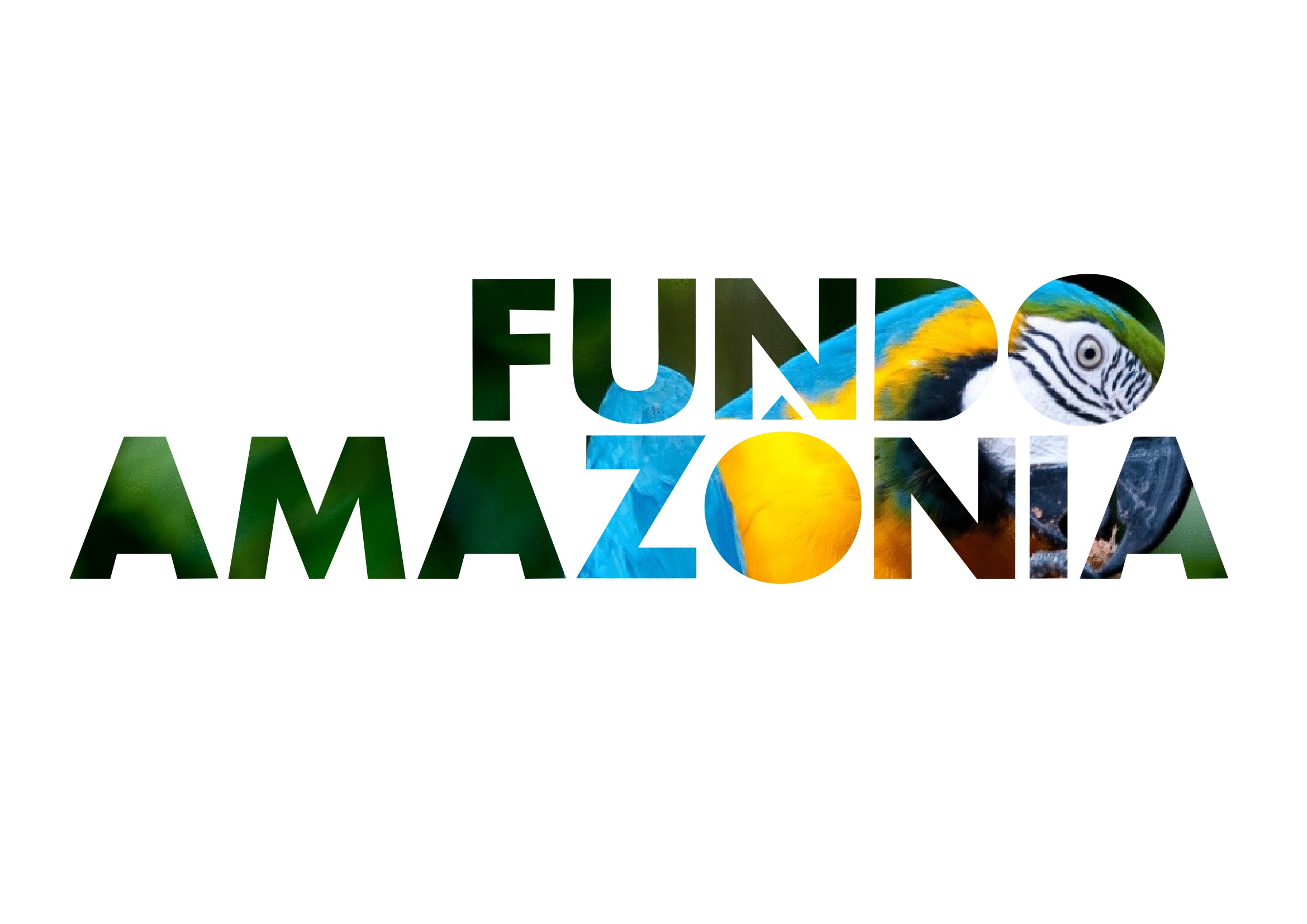 Na COP 28, Noruega anuncia doação de mais R$ 245 milhões para Fundo Amazônia
