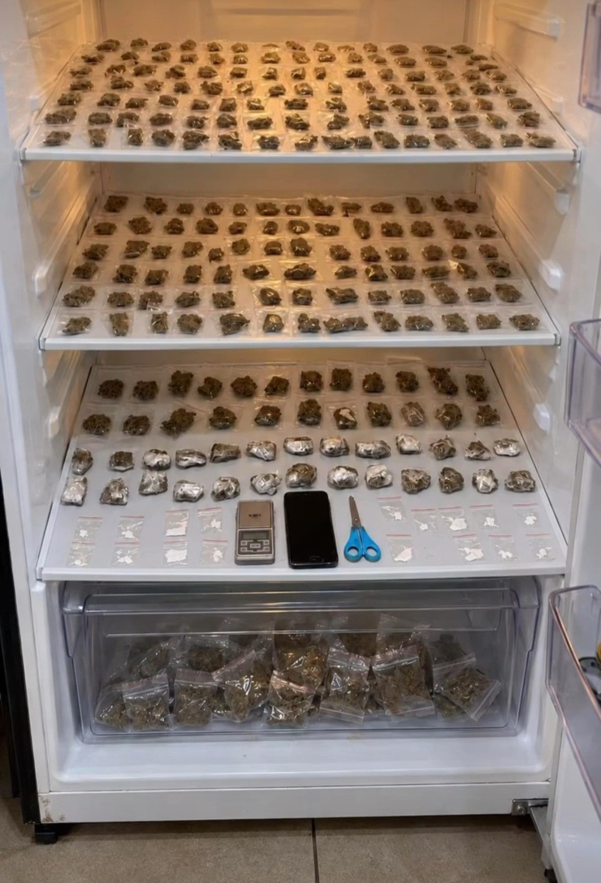 Após denúncia, polícia encontra 192 porções de maconha escondidas em geladeira de casa em Várzea da Palma