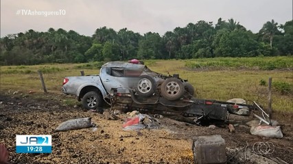 Cresce o número de acidentes de trânsito com animais em rodovias do norte do TO