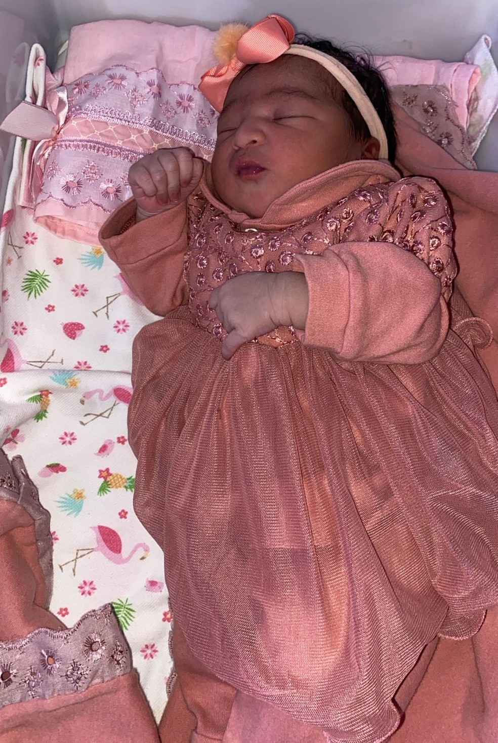 Alice, um dos primeiros bebês nascidos em Campina Grande no ano de 2025 — Foto: Ascom PMCG/Divulgação