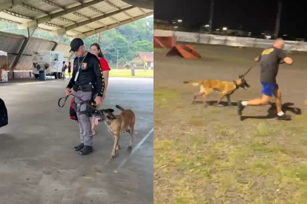 Kira e seu condutor, cabo José Roberto Vesco, conquistaram 1º lugar na prova considerada "a mais complexa" — Foto: Reprodução/8º Baep