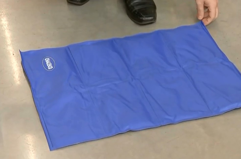 Tapete feito com gel especial deixa os pets fresquinhos no calor — Foto: TV TEM/Reprodução