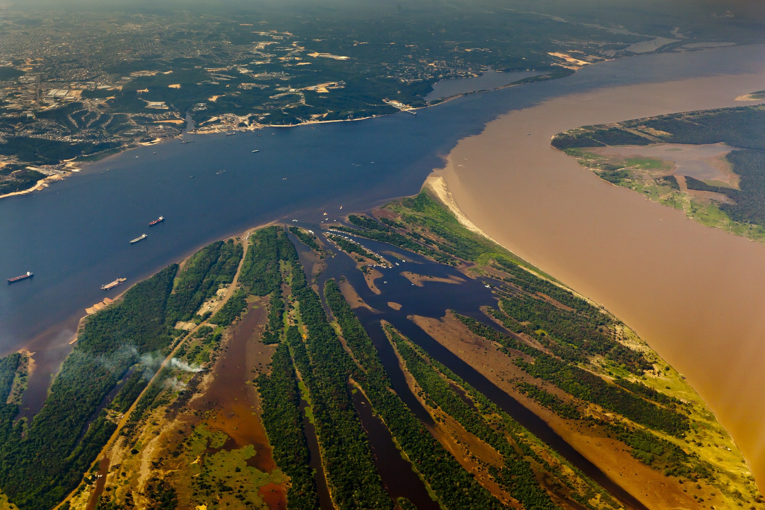 Estudo inédito revela 'rodovias ocultas' no Brasil que ligam biomas e facilitam a 'migração' de árvores