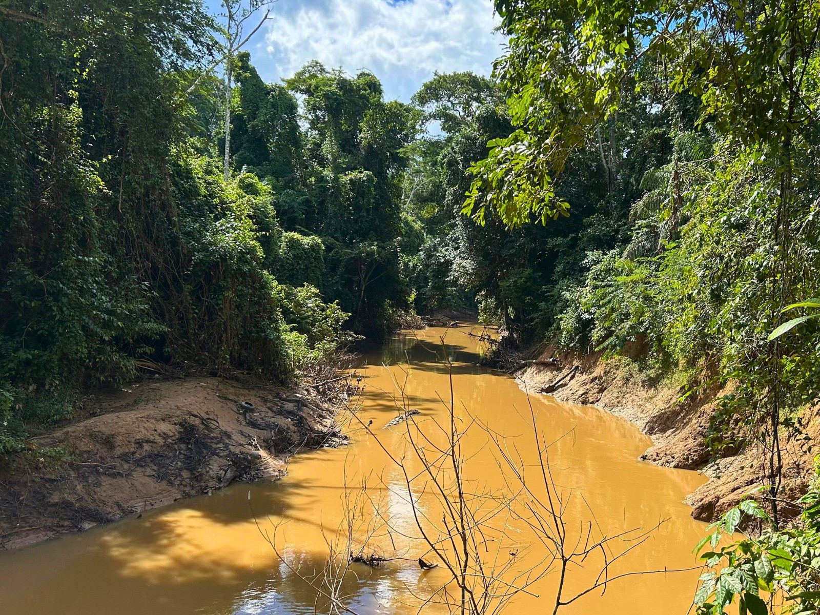 Programa mapeia áreas de risco e busca retirar 30 toneladas de lixo por dia de igarapés em Rio Branco