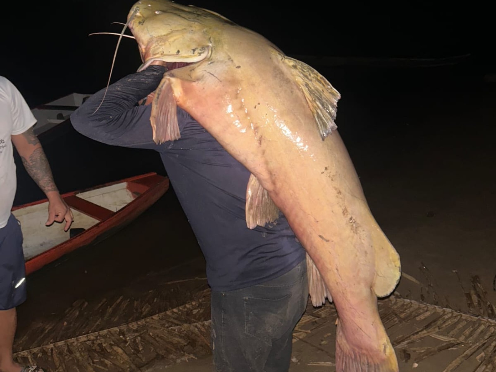 VÍDEO: Pescadores capturam peixe de 60 kg e mais de 1 metro em rio no interior do Acre