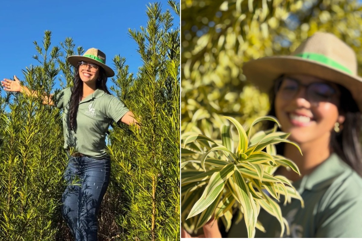 Capital das plantas ornamentais: cidade do interior de SP concentra 67% das vendas no estado