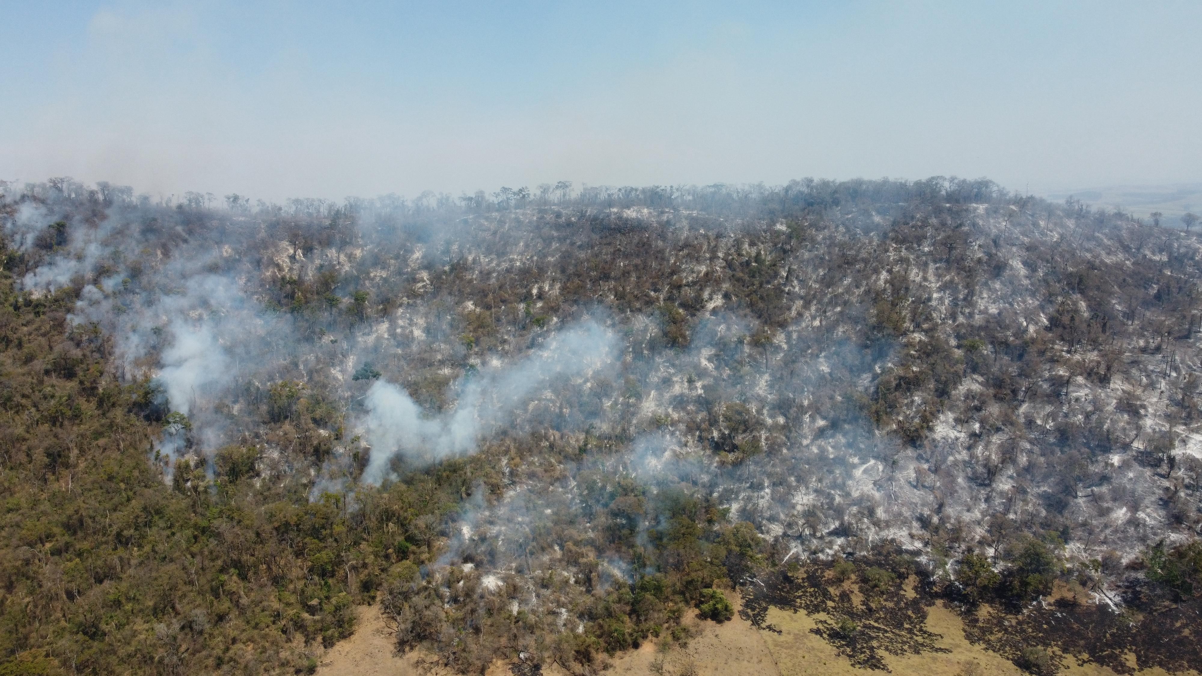 Incêndio que dura dias consumiu 50 hectares de vegetação do Monte Branco, diz prefeitura de Piracicaba 
