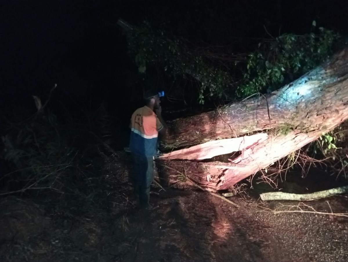Porciúncula registra chuva de granizo, alagamentos e queda de árvores