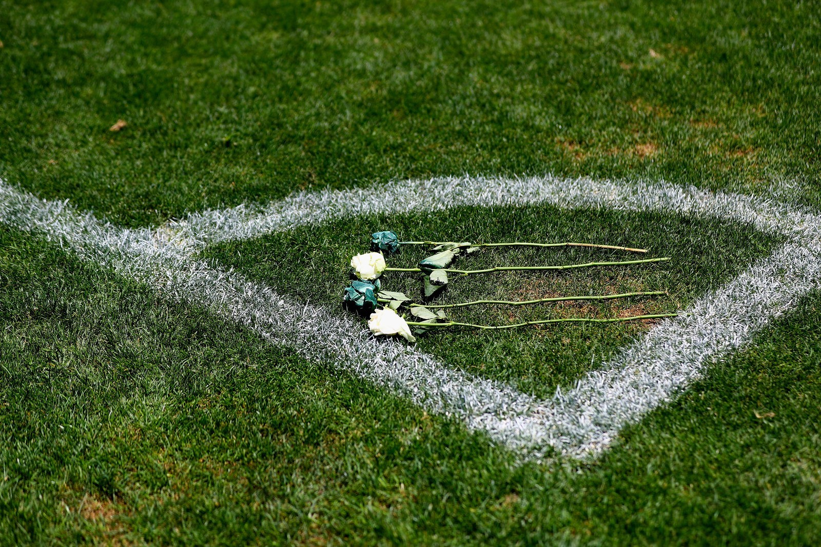 Você Não Tá Convidada pro Meu Bat Mitzvá!