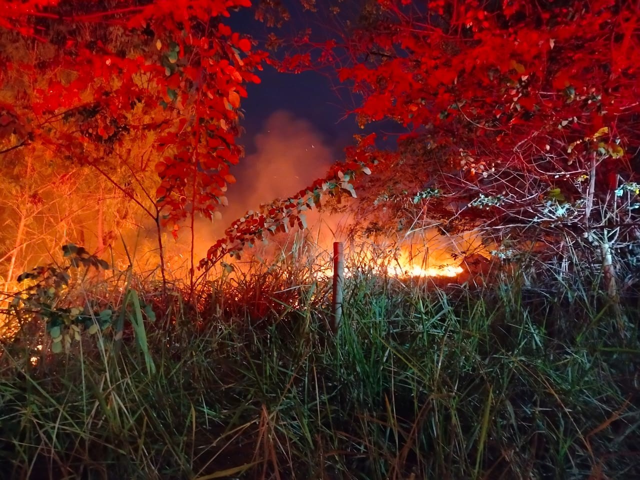 Bombeiros combatem incêndio de grande proporção em área de vegetação, em Três Marias