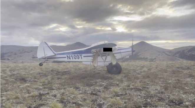 Chifres de alce e excesso de peso causaram queda de avião nos EUA, diz relatório