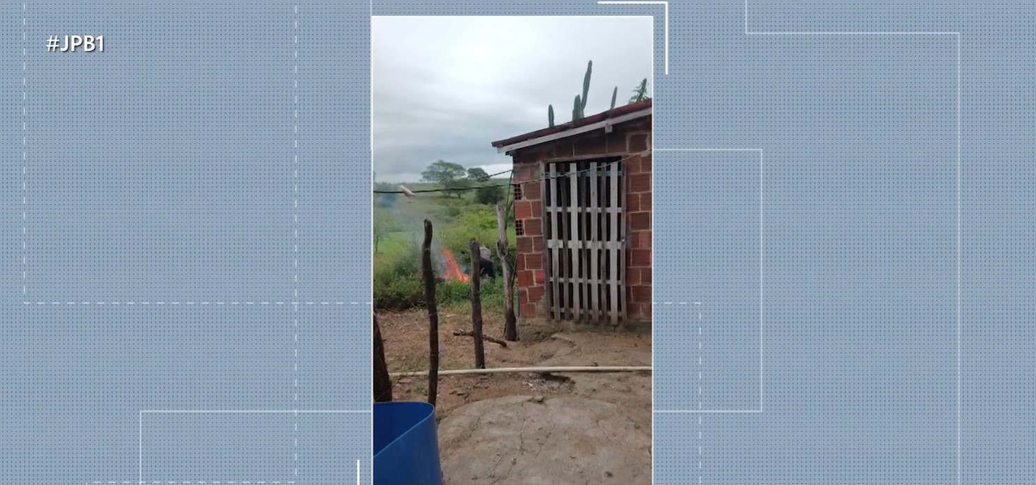 Homem é preso suspeito de espancar cachorro e lançar o animal em fogueira, na PB