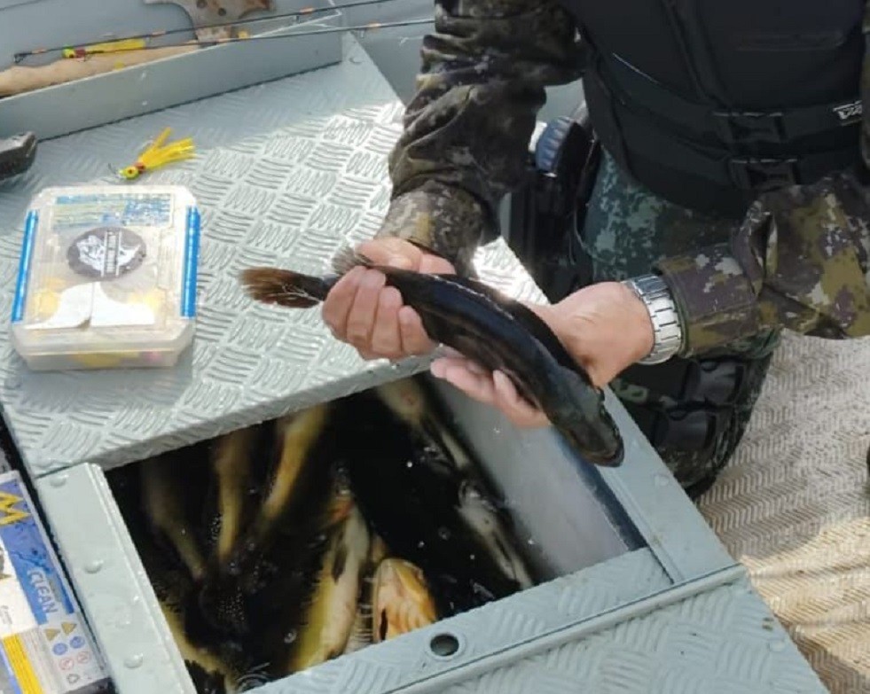 Você Não Tá Convidada pro Meu Bat Mitzvá!