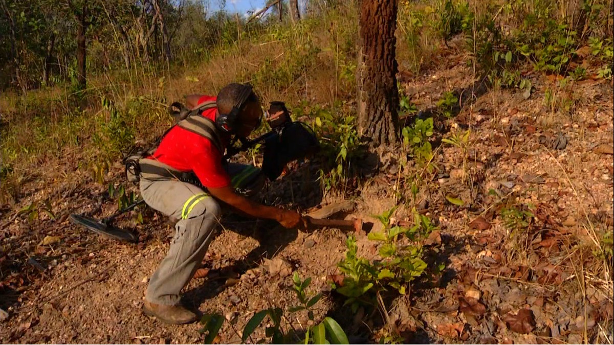 Lavrador encontra pote de moedas antigas durante busca por ouro em Tocantins