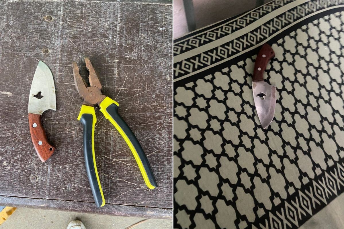 Trio é acusado de torturar calouros por 'juramento de trote' em escola no litoral de SP; polícia investiga