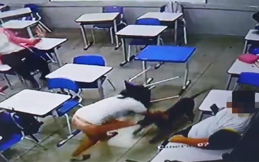 Vídeo mostra quando pit bull ataca adolescente dentro de sala de aula em escola — Foto: Reprodução/TV Anhanguera